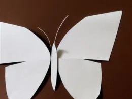 Jak zrobić skrzydła motyla z papieru