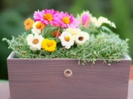 Flower Box - Jak Zrobić Samemu