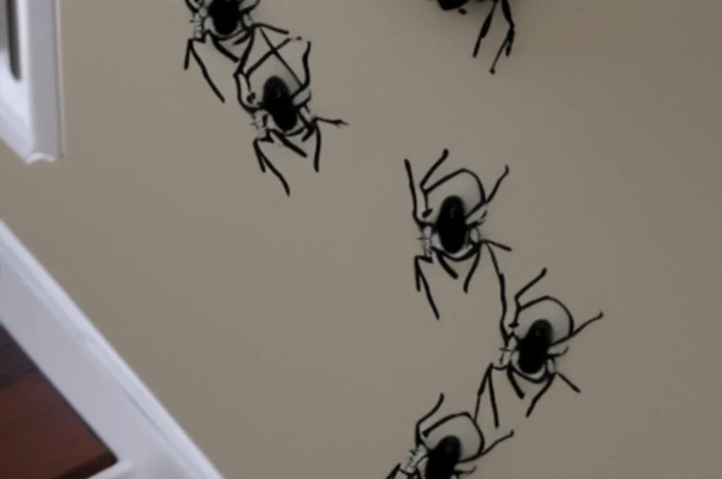 Jak pozbyć się pająków z domu