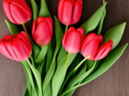 Jak samemu zrobić bukiet z tulipanów