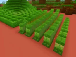 Jak zrobić farmę kaktusów w Minecraft